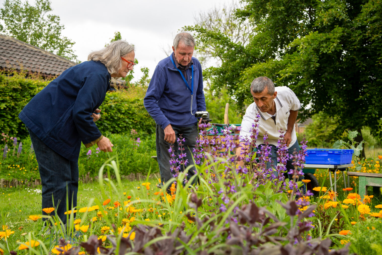 Bees Of Bensham - Dingy Butterflies 